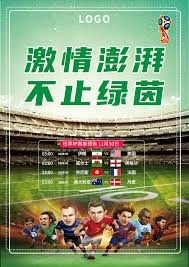 波黑队力争再创世界杯奇迹挑战意大利